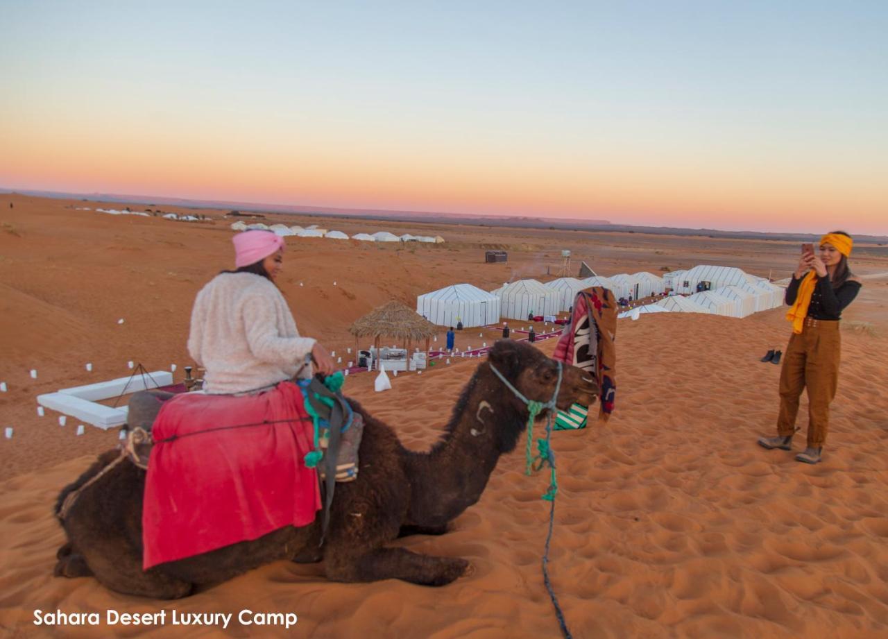 Sahara Desert Luxury Camp 메르주가 외부 사진